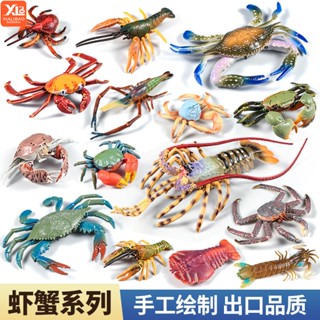 現貨實心模擬螃蟹模型 海洋動物玩具生物世界龍蝦梭子蟹帝王蟹兒童認知擺件禮物
