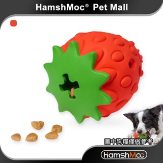 HamshMoc 創意草莓 狗玩具 磨牙潔齒 寵物藏食玩具 加厚耐咬漏食設計 狗磨牙玩具 小中大型犬互動娛樂【現貨速發】