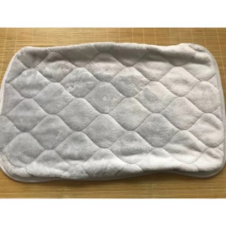 歡喜家~現貨 宜得利 NITORI 2入 枕頭套 枕巾 枕墊 枕頭保潔墊 吸溼發熱 法蘭絨 刷毛加厚 冬季保暖 絨布
