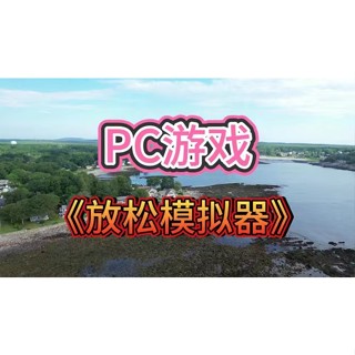 放鬆模擬器 中文版 Relaxing Simulator PC電腦單機遊戲卡 實體出貨