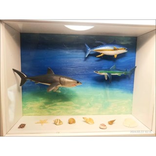 迷你模型模擬海洋生物鯨魚動物鯊魚玩具、蛋糕裝飾、魚缸裝扮
