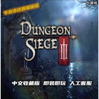 破碎記憶3 地牢圍攻3 中文版 PC計算機單機遊戲卡 A83 實體出貨