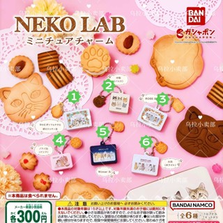 【現貨】日本萬代BANDAI扭蛋 轉蛋 NEKO LAB小貓餅乾造型 微縮吊飾 食玩掛件 裝飾