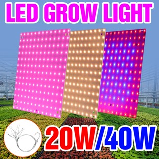 40w LED植物燈全光譜85-265V室內栽培植物燈20W溫室帳篷生長箱水培系統量子板盆景仙人掌苔蘚苗燈帶掛鉤