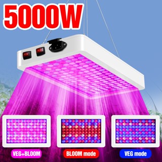 5000w 植物生長燈 LED 全光譜植物燈 4000W 定時器可調光量子板植物生長 LED 植物生長燈面板 220V