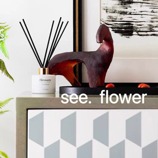 【SEE✿ FLOWER】北歐琥珀馬中古小眾幾何擺件輕奢樣板房桌面擺件書房臥室擺件 琥珀色抽象動物擺件客廳酒櫃裝飾品辦公