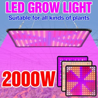 2000w 植物燈 LED 量子板生長燈全光譜植物生長燈,用於幼苗栽培蔬菜 AC100-277V 溫室帳篷水培系統生長箱