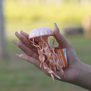 美國safari海洋系列藍鯨水母海龜食人魚企鵝海星鯊魚模型玩具