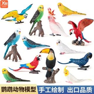 現貨實心兒童模擬飛禽動物模型套裝動物玩具虎皮金剛玄鳳鸚鵡巨嘴鳥早教認知禮物
