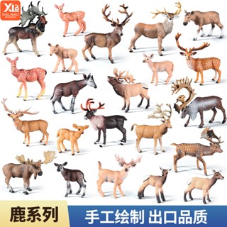現貨兒童模擬森林動物模型實心麋鹿公馬鹿馴鹿白尾鹿玩具耶誕節擺件