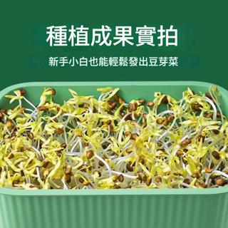 育苗盤種植發芽盆大容量家用生豆芽健康髮豆芽桶黃豆綠豆發芽盆