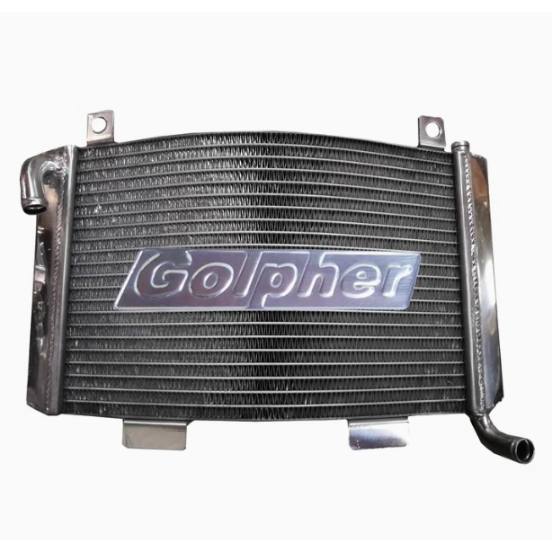 適用於鈴木加厚水箱 SUZUKI RGV250 91-96 VJ21 / Aprilia RS250