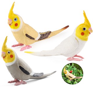 模擬 玄鳳鸚鵡 飛鳥 動物模型 兒童科教玩具 家居裝飾品