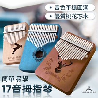 拇指琴 17音 精選桃花芯木 配件豐富 適合初學者 拇指鋼琴 卡林巴琴 Kalimba 手指琴 手琴 指姆琴 巴林琴