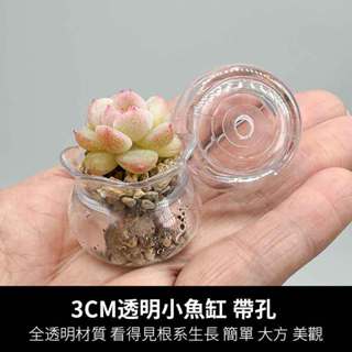 3cm塑膠魚缸花盆（不含植物），迷你多肉專用控養花盆，高透明可觀察植物生長根莖，家居生活辦公室桌面陽臺育苗花盆，DIY盆