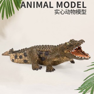 兒童模擬動物靜態鱷魚模型實心擺件套裝耶誕節玩具偶發 動物實心