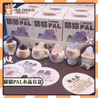 貓貓 PAI 水晶盲盒 可愛動物 手辦 玩具 辦公桌 小擺件 解壓神器 貓 樹脂模型 公仔 套裝 居家 裝飾品 女友 生