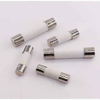 10PCS 5*20mm/6*30mm 慢熔陶瓷保險絲 250V 1A 1.25A 1.6A 2A 2.5A 3.15A