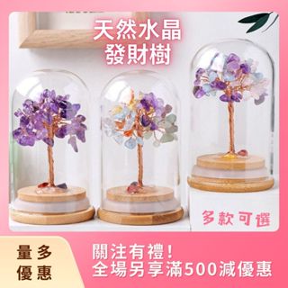 【豪門女孩】 天然水晶碎石發財樹 生命樹擺件 天然水晶原石裸石DIY可愛招財小擺件裝飾品 玻璃防塵罩微景觀水晶樹