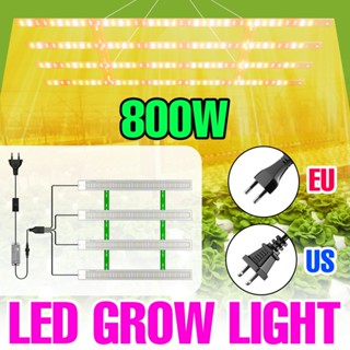 800W LED全光譜生長燈室內陽光綠色植物補光燈AC100-277V溫室帳篷水培蔬菜花卉水果仙人掌種子栽培照明110V
