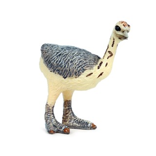 實心非洲鴕鳥立方體兒童認知玩具鳥類野生動物模擬模型擺件