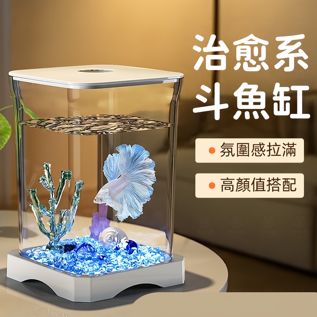 創意鬥魚生態缸小型網紅造景桌面觀賞小夜燈小魚缸衣箱魚缸造景水族造景魚缸水族箱造景魚缸裝飾鬥魚缸小魚缸玻璃魚缸迷你魚缸