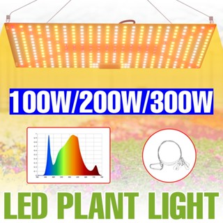 300W LED 植物生長燈帶掛鉤 100-277V 全光譜陽光室內水培多肉補光燈 220V/110V 溫室帳篷花卉水果