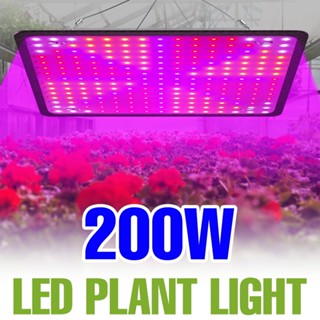 200W LED 植物生長燈全光譜 110V/220V 溫室帳篷量子板補光燈 UV IR 多肉植物水培系統室內盆栽樹苗栽
