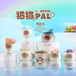 🎁【現貨】療癒擺飾 辦公室擺件 貓貓PAI 水晶 桌面擺飾 盲盒 擺件 可愛動物 擺飾 辦公室 解壓神器桌面 裝飾 禮物