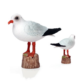 模擬實體野生動物模型鳥紅嘴鷗飛鳥海鷗模型靜態玩具擺件