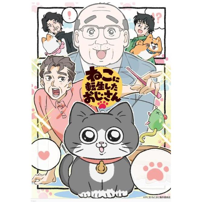2024日本動畫 DVD 轉生成貓的大叔/發現自己轉生成貓的大叔 日語中字 全新盒裝2碟