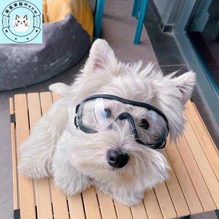 狗狗眼鏡護目鏡狗專用墨鏡柯基寵物鏡防紫外線眼鏡泰迪太陽鏡防風