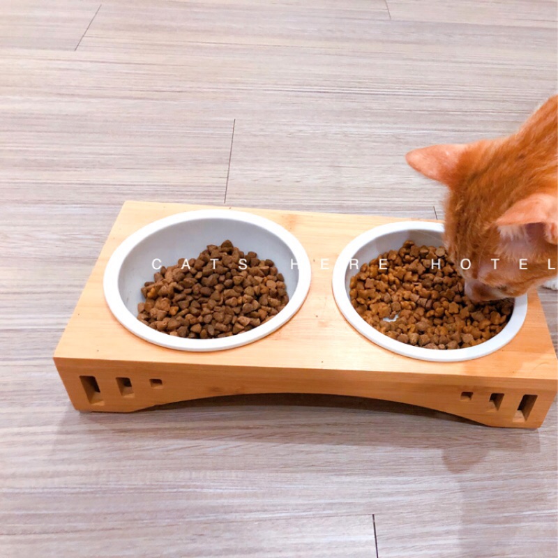 【貓咪用品】貓這裡 現貨 質感竹製貓碗架 不翻貓碗架 飼料碗 貓咪飼料 寵物雙碗架