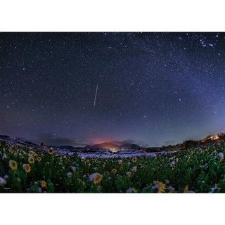 Kagaya 寫真集 Starry Nights The Best Of The Best 蝦皮購物