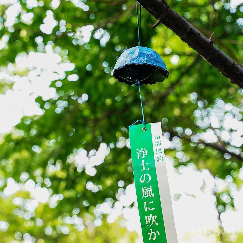 新款 熱銷紫陽花日本進口南部鐵器鑄鐵風鈴手作繡球花家居掛飾祝福禮物 蝦皮購物
