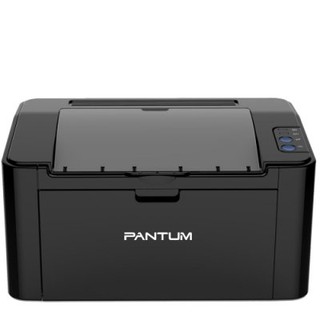 【數位3C】PANTUM P2500W / P 2500 W 黑白 無線 WIFY 雷射印表機 ~現貨