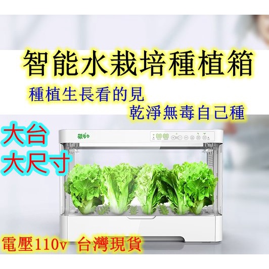 植物栽培箱 Ptt Dcard討論與高評價網拍商品 21年8月 飛比價格
