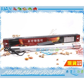 ISTA水中燈增豔燈2尺LED燈15W紅龍/血鸚鵡/金魚/羅漢60cm【~魚店亂亂賣~】臺灣EL-R15沉水燈紅龍燈