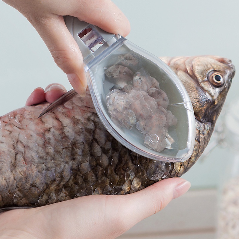 實用帶蓋魚鱗刨創意刮魚器廚房小工具去魚鱗器魚形刮鱗器小刨子盒裝 蝦皮購物