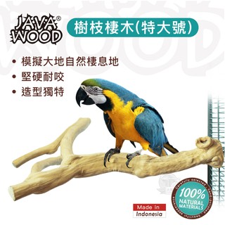 【大鸚帝國】美國爪哇JAVA WOOD / 樹枝棲木(特大號) / 天然咖啡木 樹枝 鸚鵡棲木 鸚鵡站棒 鳥站棒 鳥棲木