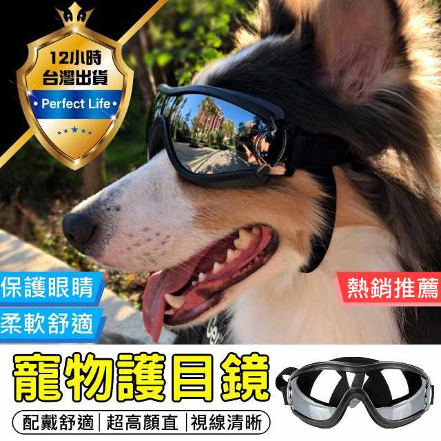 【現貨-免運費！】寵物墨鏡 狗墨鏡 寵物太陽眼鏡 寵物眼鏡 狗狗墨鏡 狗眼鏡 狗狗眼 狗狗太陽眼鏡鏡  護眼