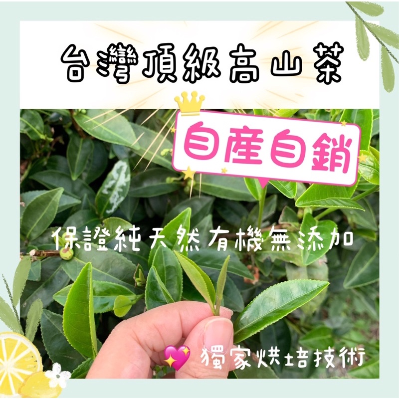 保證台灣國產頂級高山茶 自產自銷 轉銷日本 天然有機 台灣好茶 天然回甘