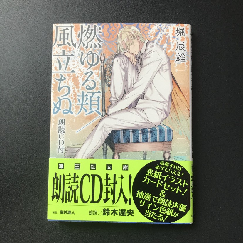 現貨進口日文小說燃ゆる頬 風立ちぬ朗読cd付 蝦皮購物