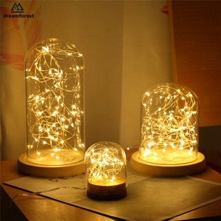 Df 1M LED 燈串花環裝飾燈銅線 CR2032 電池供電聖誕派對裝飾