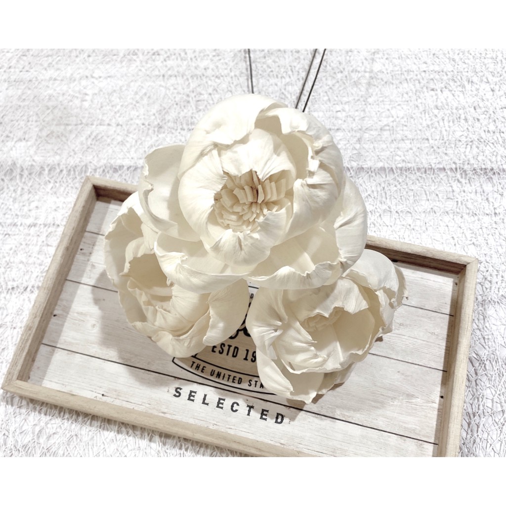 夏 花charice Flora 乾燥花 乾燥花材 索拉花 太陽花 牡丹花 通草花 手工花 手作素材 乾燥花素材 蝦皮購物