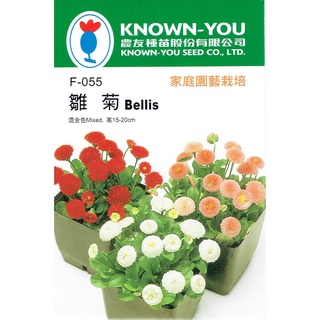 種子王國 雛菊 混合色 農友種苗 花卉種子 每包約200粒