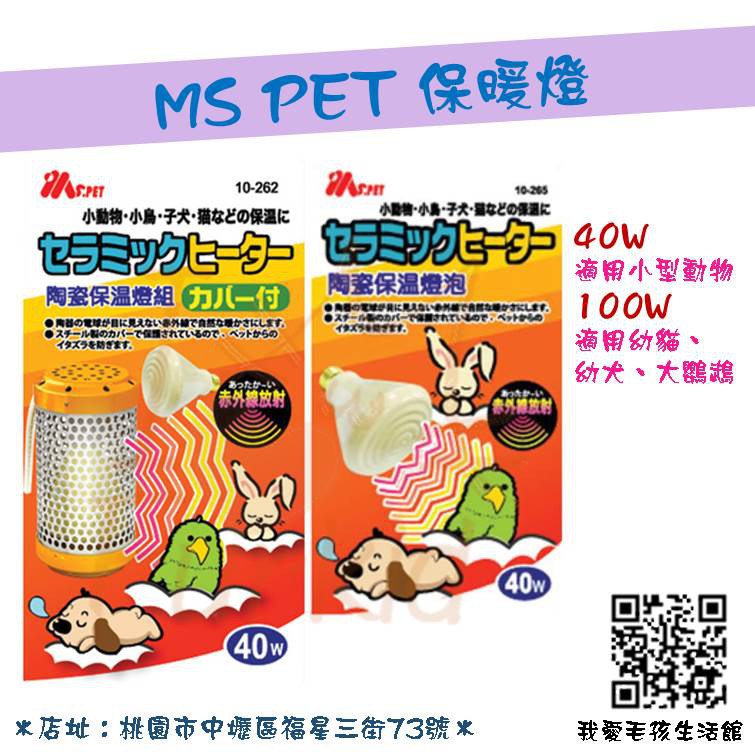 Ms Pet小動物寵物保溫燈幼貓幼犬老鼠鸚鵡40w 100w 保暖燈保溫燈幼鳥小動物幼鼠 蝦皮購物