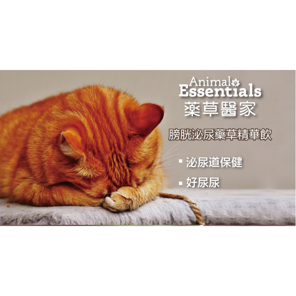 Rubi寵物百貨  **免運商品**  藥草醫家Animal Essentials天然療癒保健 /膀胱泌尿藥草精華飲