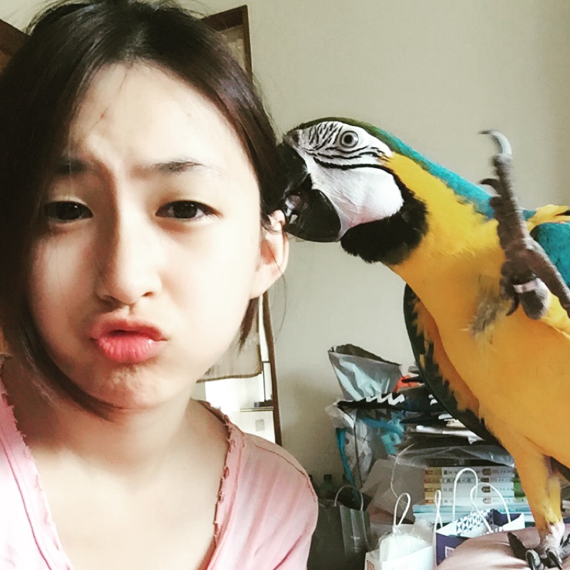 渡邊直美扭蛋 轉蛋 蝦皮購物