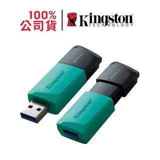 Kingston金士頓 DTXM/256GB DataTraveler Exodia M USB 隨身碟 256G台灣製